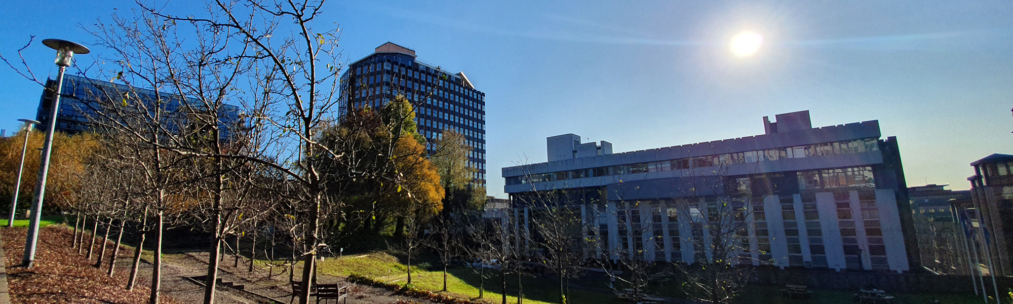 Rottenrow Gardens